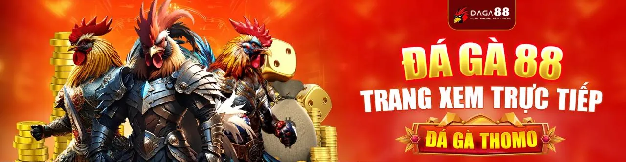 Sân đấu chọi gà sôi động với các quy tắc rõ ràng tại 56win
